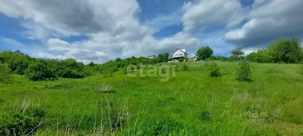 Участок в Воронежская область, Рамонский район, с. Березово Набережная ... - Фото 1