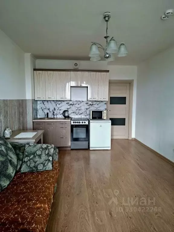 Студия Санкт-Петербург просп. Энергетиков, 9к6 (25.0 м) - Фото 2
