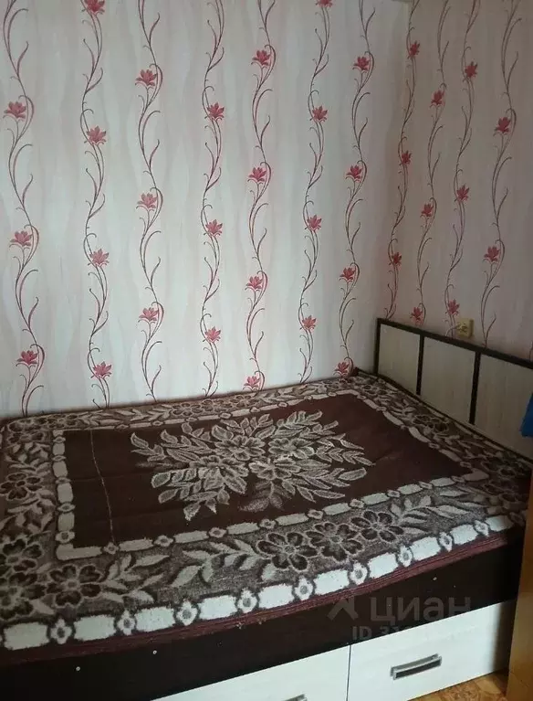 1-к кв. Краснодарский край, Новороссийск ул. Куникова, 104 (31.0 м) - Фото 1
