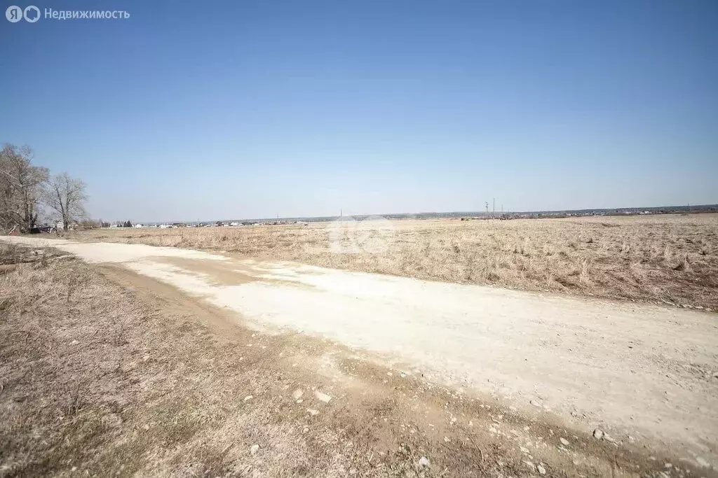 Участок в Искитимский район, Мичуринский сельсовет, деревня Бердь ... - Фото 1