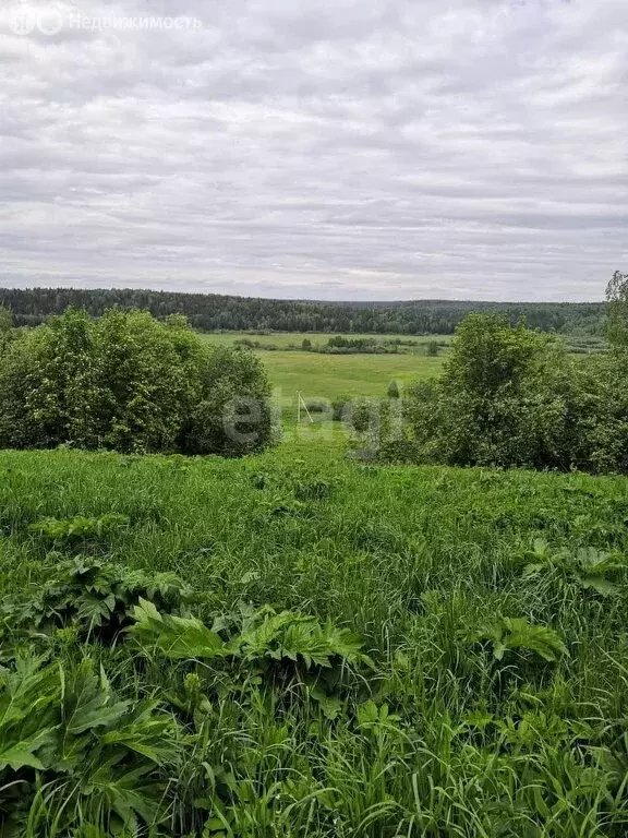 Участок в Кемеровский муниципальный округ, деревня Осиновка (7.7 м) - Фото 0