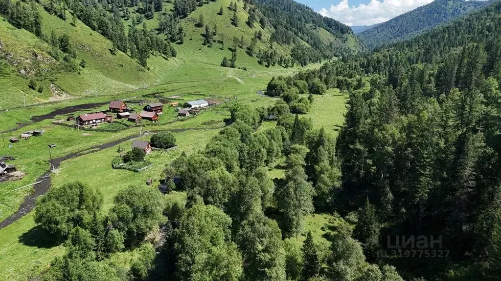 Участок в Алтай, Чемальский район, Элекмонарское с/пос, пос. Каракол  ... - Фото 0