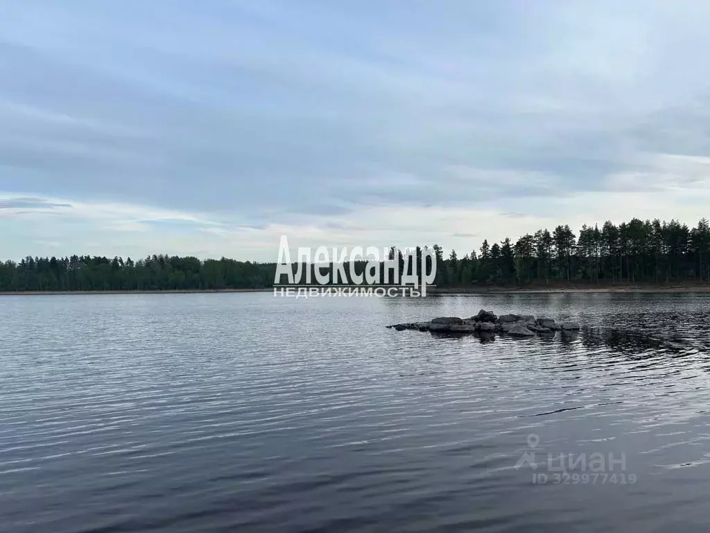 Участок в Ленинградская область, Приозерский район, Ромашкинское ... - Фото 1