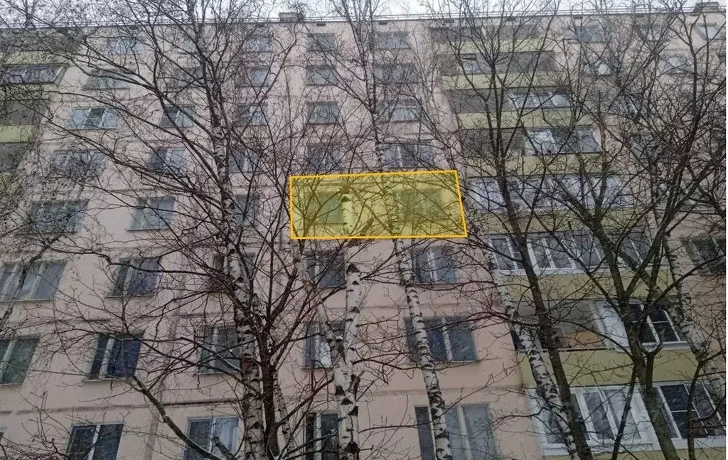 1-к кв. Москва Чертановская ул., 43К2 (32.5 м) - Фото 2