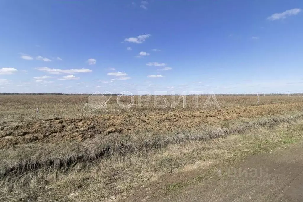 Участок в Тюменская область, Тюменский район, д. Елань  (8.0 сот.) - Фото 0