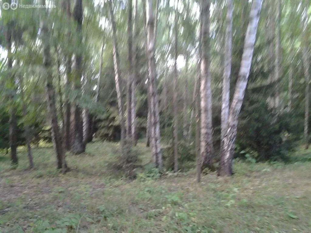 Участок в Московская область, городской округ Солнечногорск, деревня ... - Фото 0