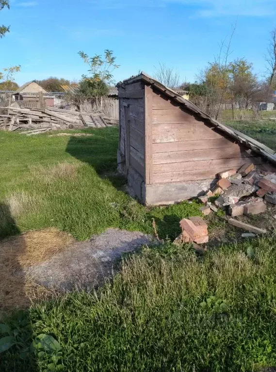 Дом в Ростовская область, Кагальницкая ст-ца ул. Калинина (40 м) - Фото 1