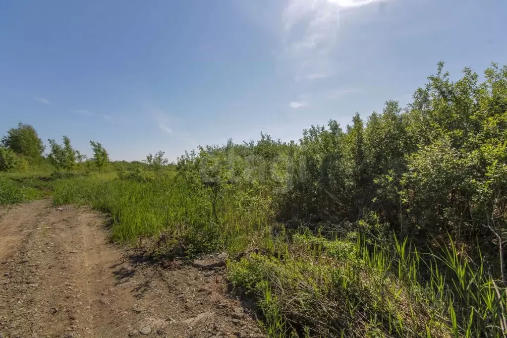 Участок в Тюменская область, Тюмень ул. Клубничная (9.77 сот.) - Фото 1