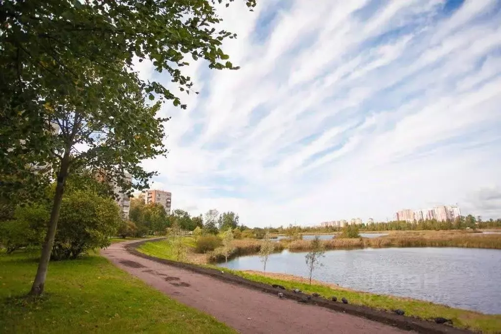 2-к кв. Санкт-Петербург пос. Металлострой, Центральная ул., 15 (43.4 ... - Фото 2