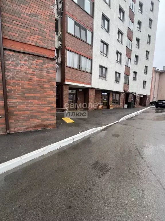 2-к кв. Пермский край, Пермь ул. Николая Островского, 60/1 (56.0 м) - Фото 2