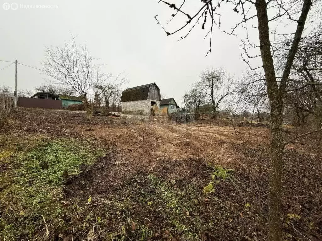 Участок в Брянск, садоводческое объединение Юпитер (4.28 м) - Фото 1