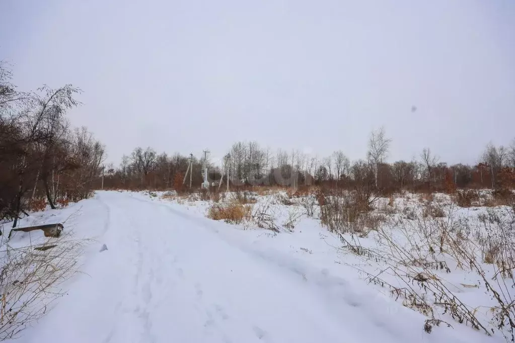 Участок в Еврейская автономная область, Смидовичский район, пос. ... - Фото 2