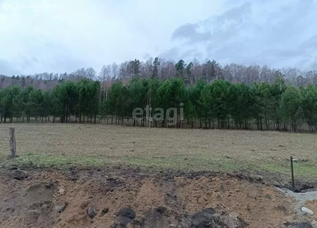 Участок в село Бирюля, Таркольская улица (12.5 м) - Фото 0