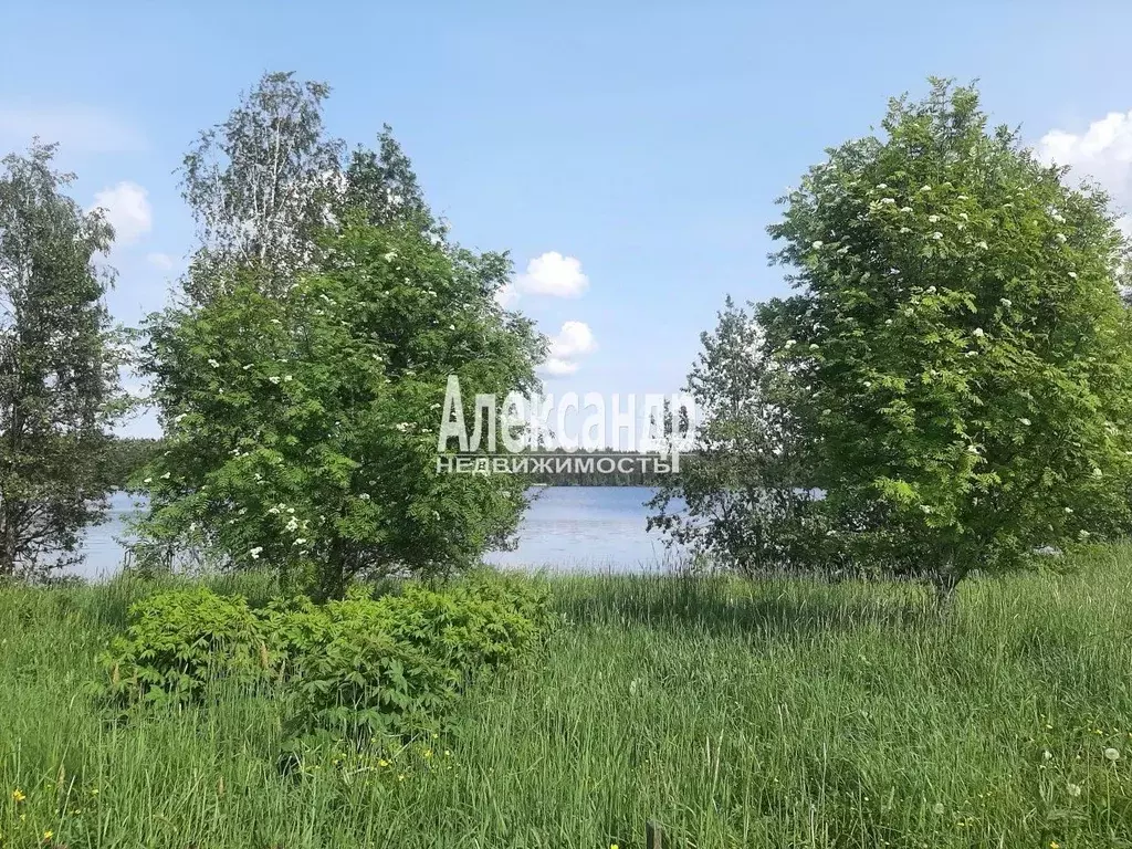 Дом в Ленинградская область, Приозерский район, Громовское с/пос, пос. ... - Фото 2