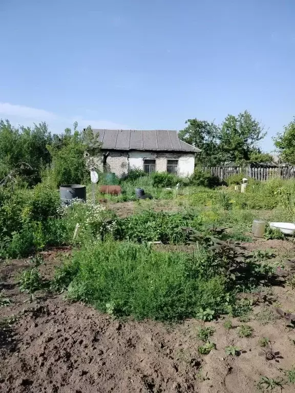 Участок в Татарстан, Елабуга Дружба ДПК, 427 (10.5 сот.) - Фото 0