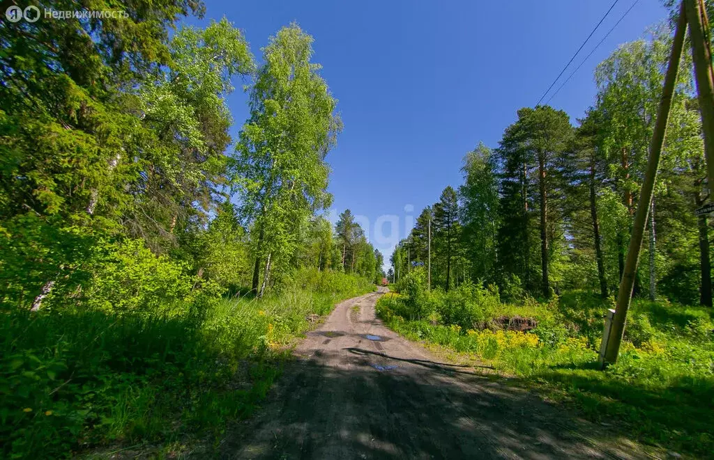 Участок в Томск, микрорайон Наука, Воскресенская улица (8.2 м) - Фото 1