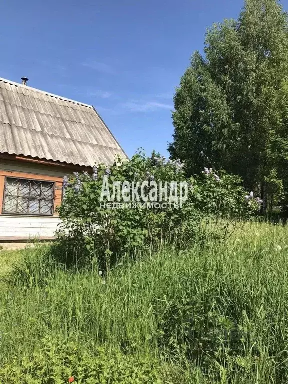 Участок в Новгородская область, Валдайский муниципальный округ, ... - Фото 1
