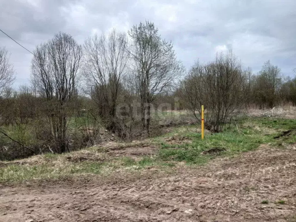 Участок в Ленинградская область, Волховский район, Колчановское с/пос, ... - Фото 1