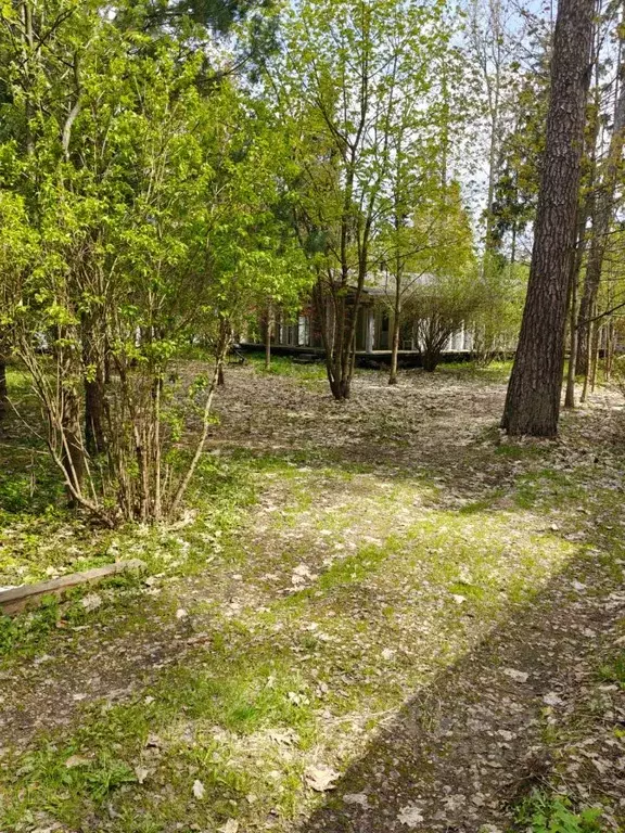 Дом в Московская область, Одинцовский городской округ, пос. Мозжинка  ... - Фото 0