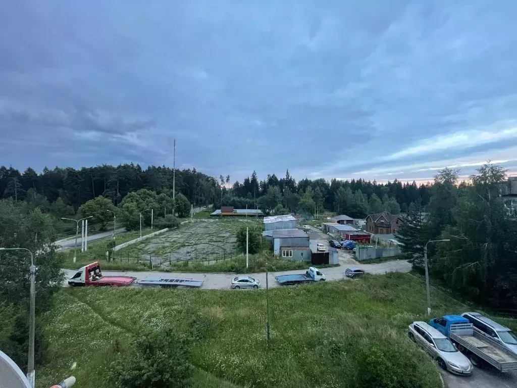 3-к кв. Московская область, Солнечногорск городской округ, пос. ... - Фото 2