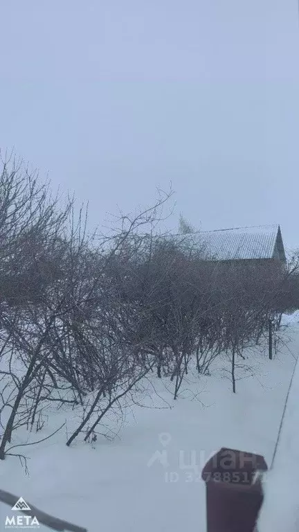 Участок в Омская область, Омск Звездочка СНТ, аллея 28-я (4.65 сот.) - Фото 1