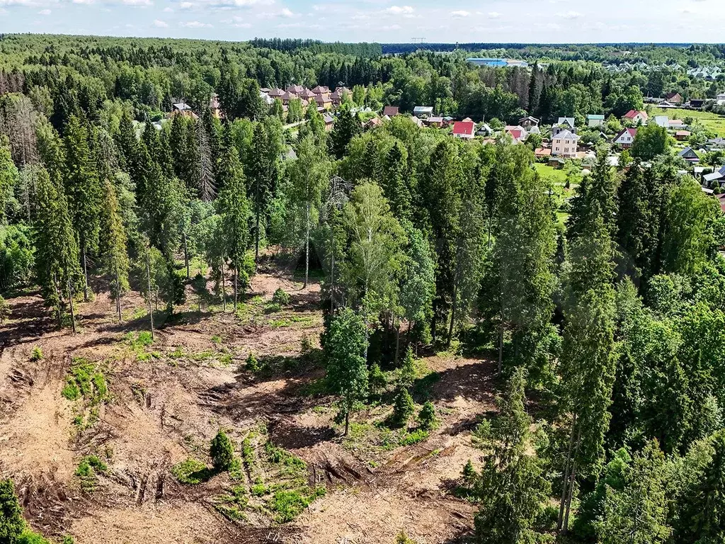 Участок 6 сот. (СНТ, ДНП) - Фото 0