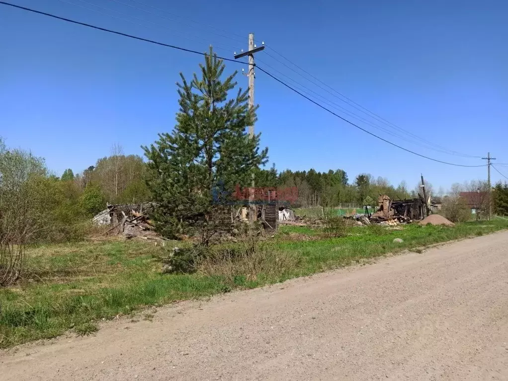 Участок в Ленинградская область, Выборгский район, Каменногорское ... - Фото 2