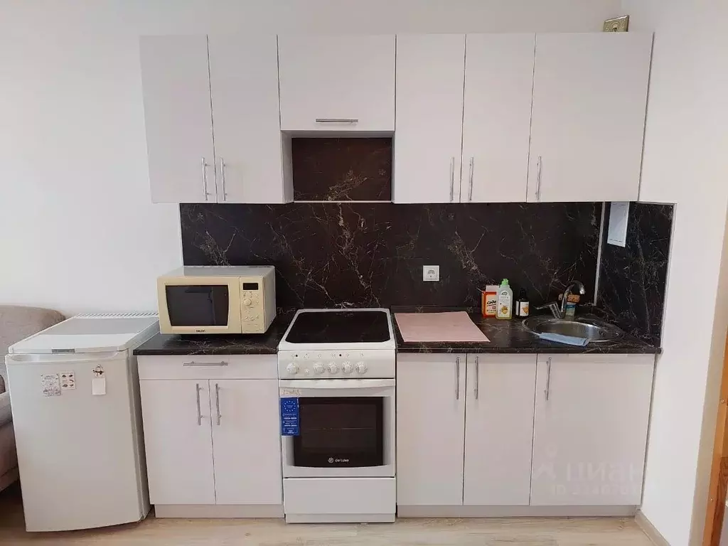 1-к кв. Нижегородская область, Нижний Новгород д. Анкудиновка, ул. ... - Фото 2