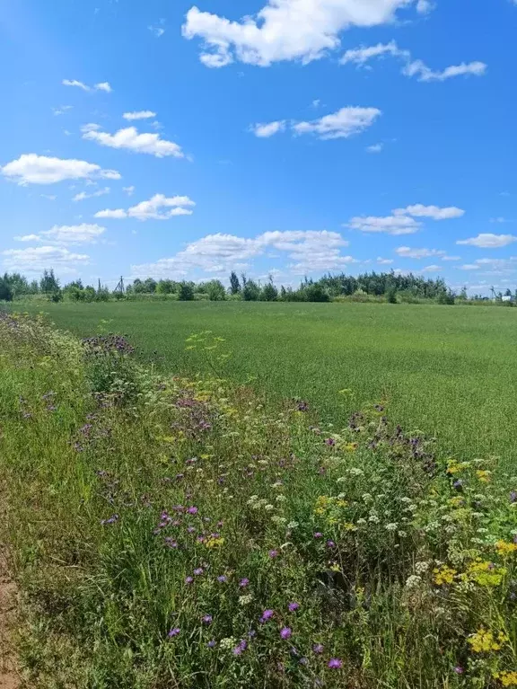 Участок в Кировская область, Слободской район, Ленинское с/пос, д. ... - Фото 1