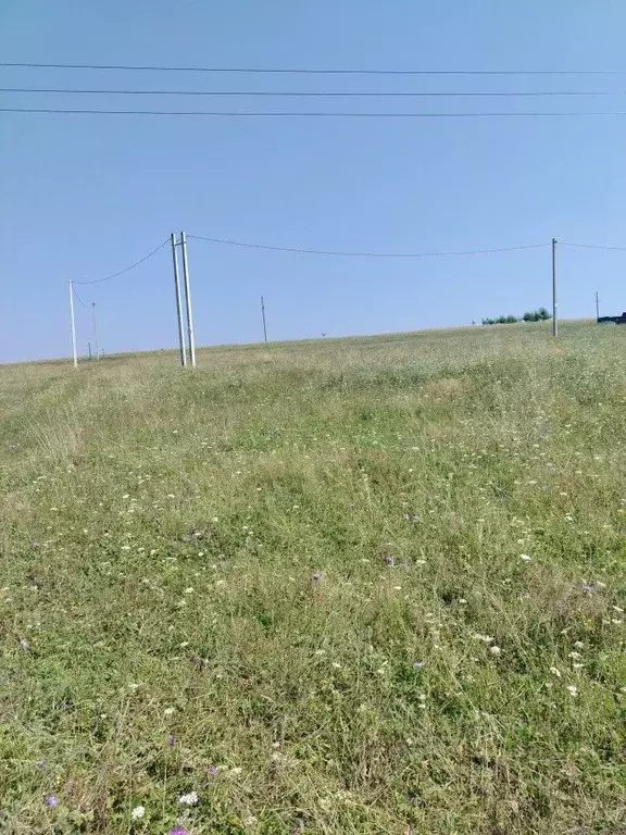 Участок в Орловская область, Мценский район, д. Подберезово 2 (15.0 ... - Фото 1
