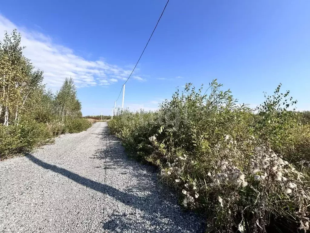 Участок в Челябинская область, Красноармейский муниципальный округ, ... - Фото 1
