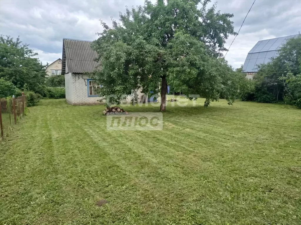 Участок в Брянская область, Брянск Коммунальник садовое общество,  ... - Фото 2