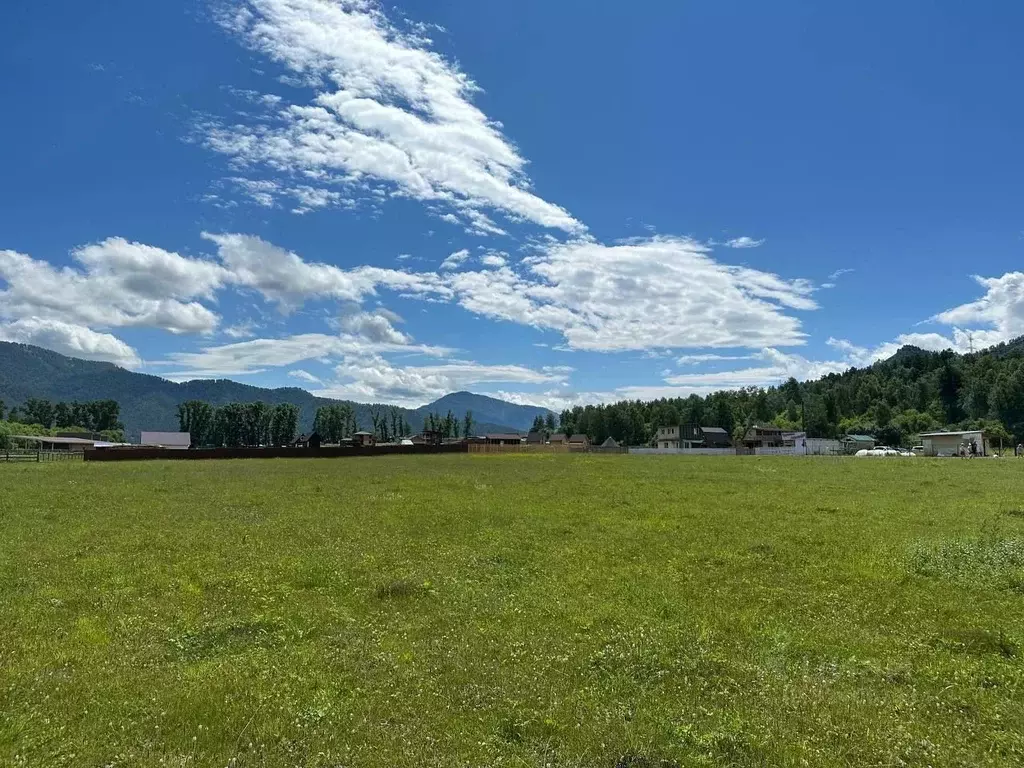 Участок в Алтай, Чемальский район, с. Анос  (12.0 сот.) - Фото 2