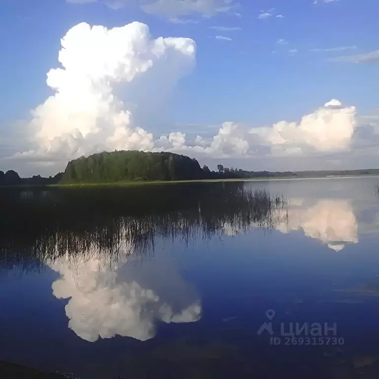 4-к кв. Новгородская область, с. Мошенское ул. Садовая (84.0 м) - Фото 0