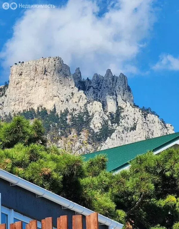 Участок в Алупка, Севастопольское шоссе, 65 (8.7 м) - Фото 2