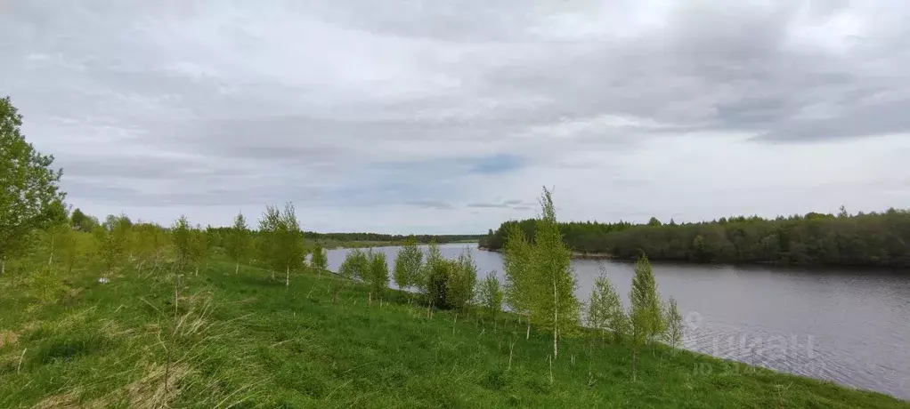 Участок в Смоленская область, Сычевский муниципальный округ, д. ... - Фото 1