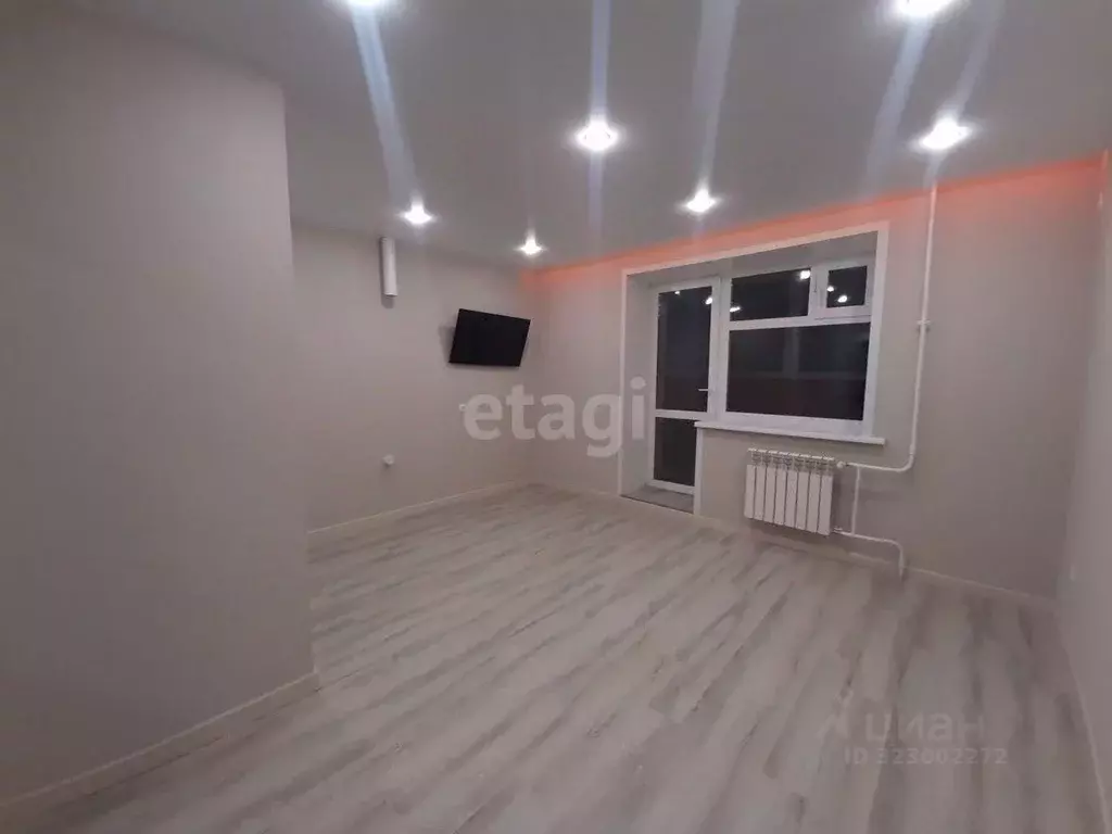 Студия Амурская область, Благовещенский район, с. Чигири ул. ... - Фото 2