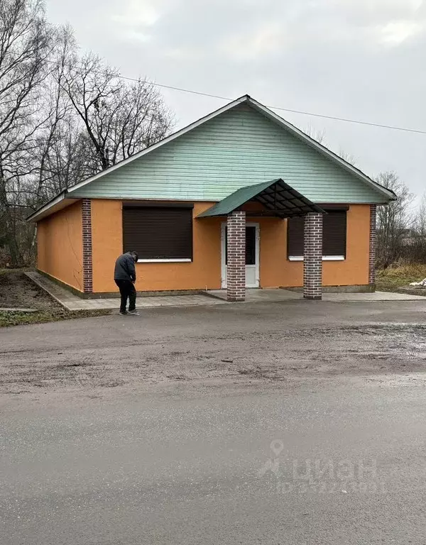 Помещение свободного назначения в Ленинградская область, Луга ул. ... - Фото 2