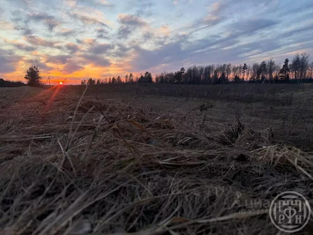 Участок в Псковская область, Новоржев Псковская ул. (5000.0 сот.) - Фото 1