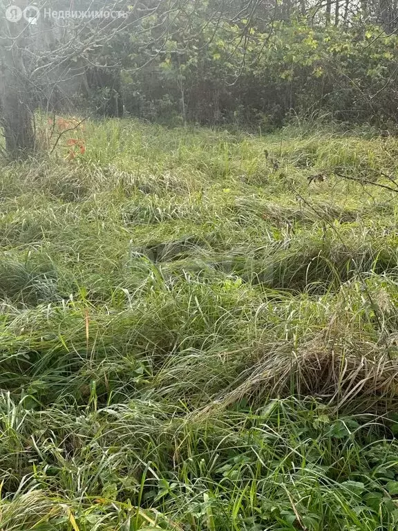 Участок в Калининградская область, Гвардейский муниципальный округ, ... - Фото 1