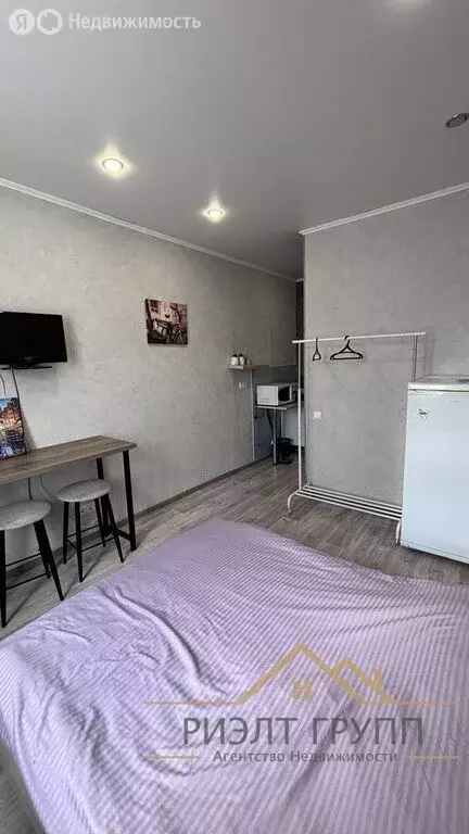 Квартира-студия: Казань, Ботаническая улица, 14 (18 м) - Фото 2