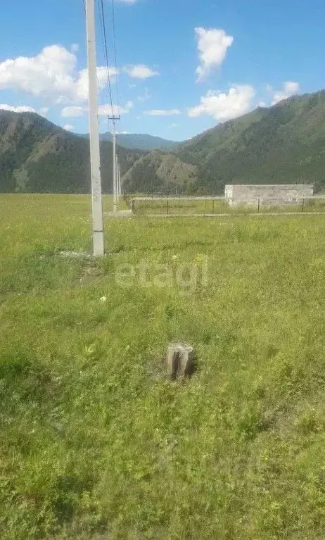 Участок в Алтай, Чемальский район, с. Чемал ул. В.П. Труфанова, 10 ... - Фото 1
