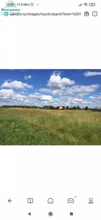 Участок в Ульяновская область, Мелекесский район, Николочеремшанское ... - Фото 1