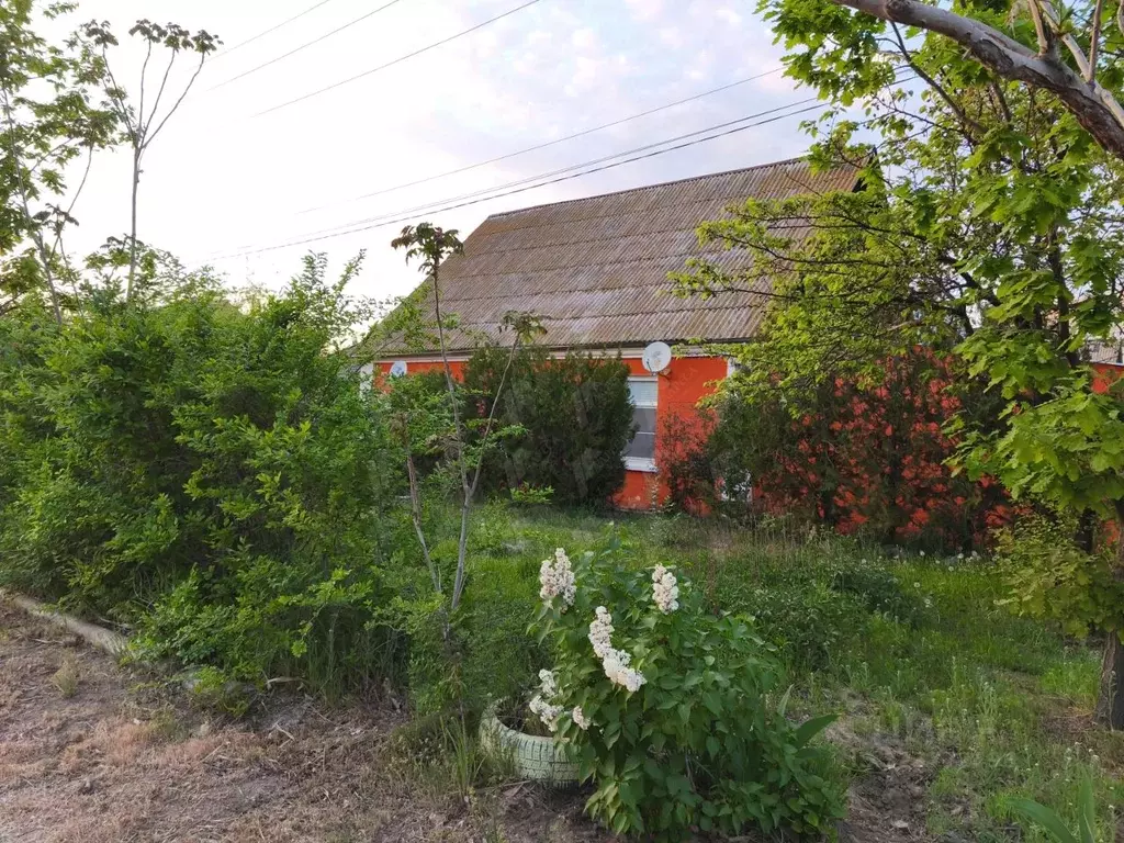 Дом в Астраханская область, Астрахань ул. 1-я Высоцкая, 5/2 (114 м) - Фото 1