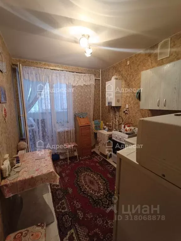 1-к кв. Волгоградская область, Волгоград ул. Имени Старшего Лейтенанта ... - Фото 0
