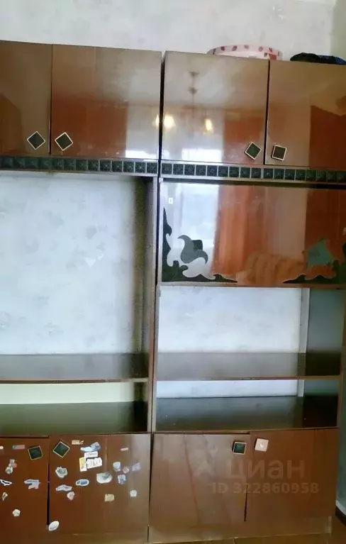 Комната Новосибирская область, Новосибирск Пашино мкр, ул. Спасская, ... - Фото 2