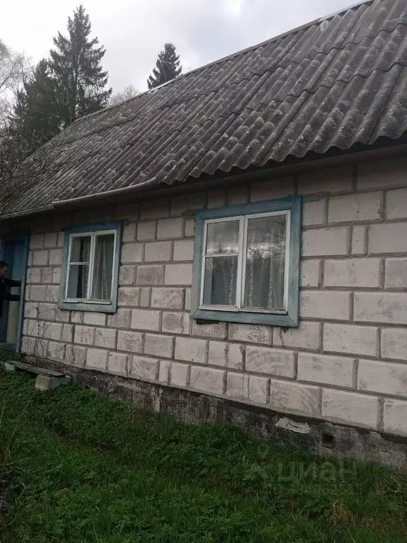 Дом в Ленинградская область, Кингисеппский район, Большелуцкое с/пос, ... - Фото 0