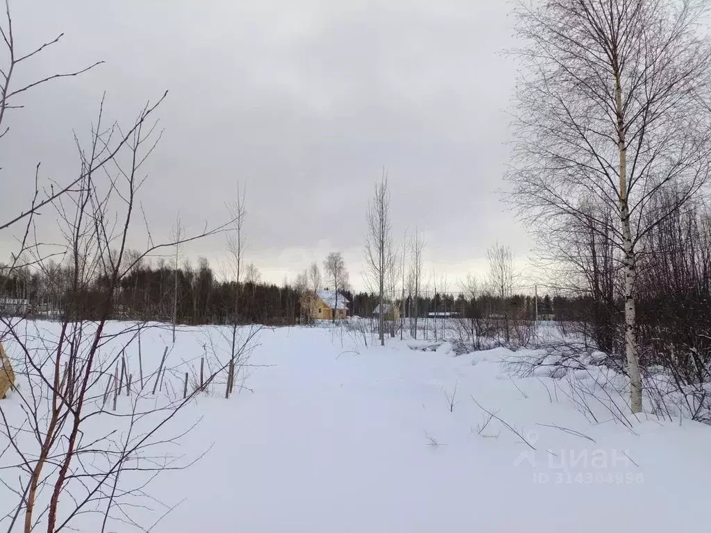 Участок в Архангельская область, Приморский муниципальный округ, пос. ... - Фото 0