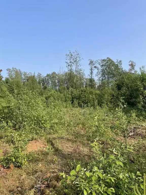 Участок в Новгородская область, Валдай Лесхозная ул. (15.0 сот.) - Фото 0