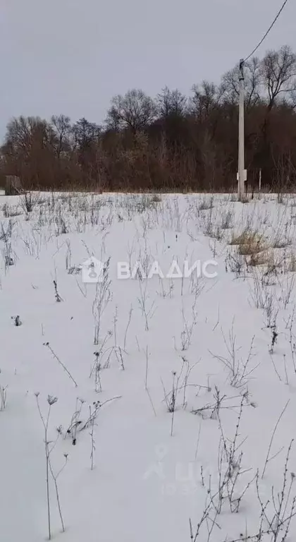 Участок в Воронежская область, Новоусманский район, с. Хреновое ул. ... - Фото 2